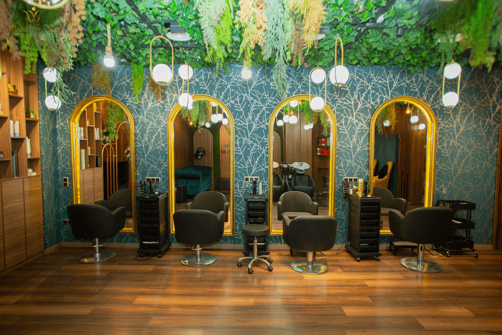 Wellness Dream Center